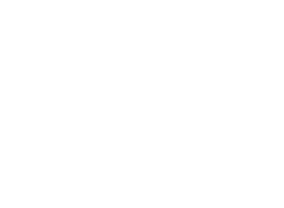 nahla_web_logo